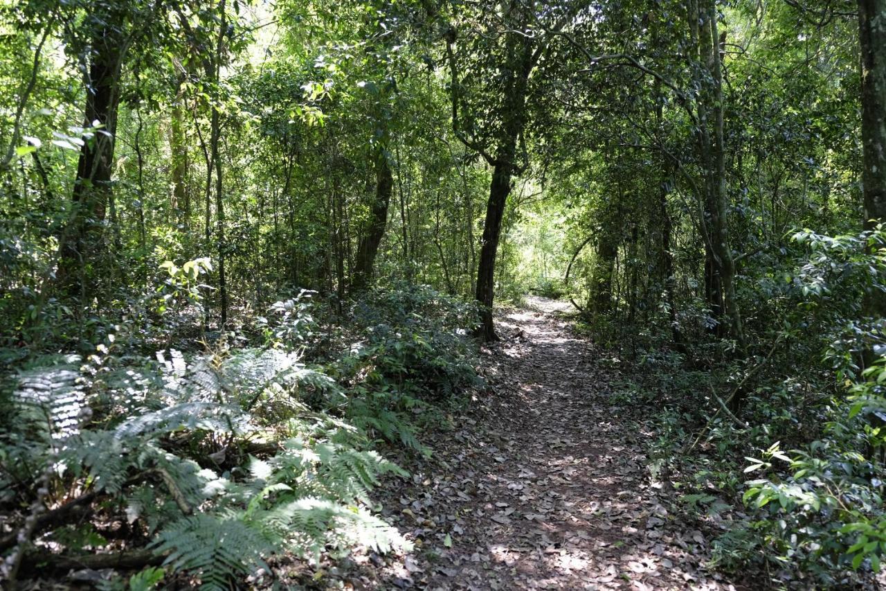 Reserva La Mision Mocona - Solo Adultos Saltos del Moconá Buitenkant foto