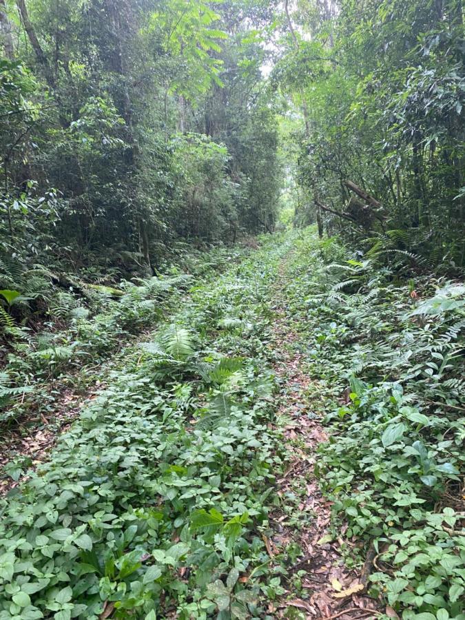 Reserva La Mision Mocona - Solo Adultos Saltos del Moconá Buitenkant foto